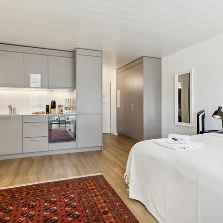 Up&great - Chic Urban Homes Apartament Zurych